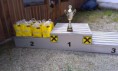 /album/fotogalerie-murztalcupfinale-14-06-2014/murztalcupfinale-14-06-2014-preise2-jpg1/